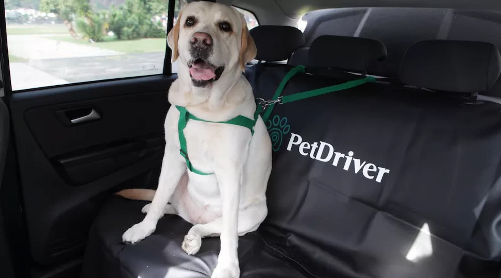 Pet driver